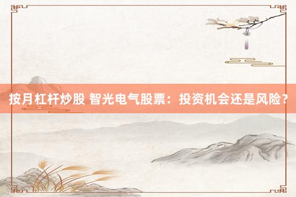 按月杠杆炒股 智光电气股票：投资机会还是风险？