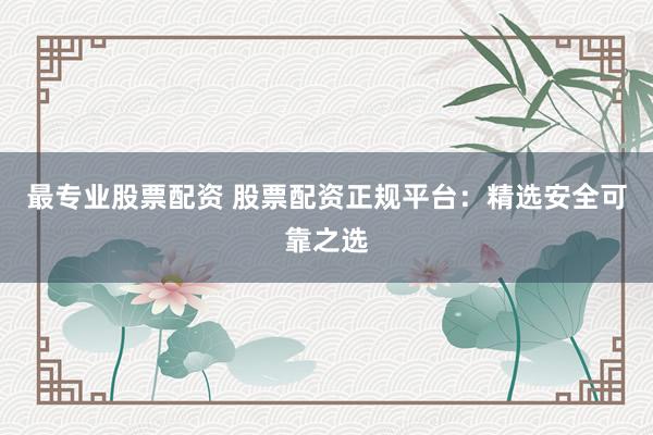 最专业股票配资 股票配资正规平台：精选安全可靠之选