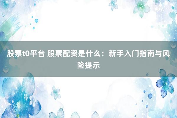 股票t0平台 股票配资是什么：新手入门指南与风险提示