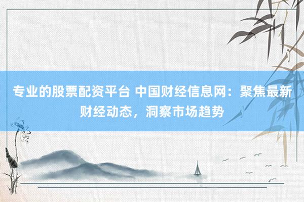 专业的股票配资平台 中国财经信息网：聚焦最新财经动态，洞察市场趋势