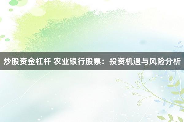 炒股资金杠杆 农业银行股票：投资机遇与风险分析