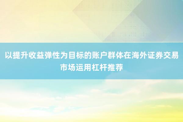 以提升收益弹性为目标的账户群体在海外证券交易市场运用杠杆推荐
