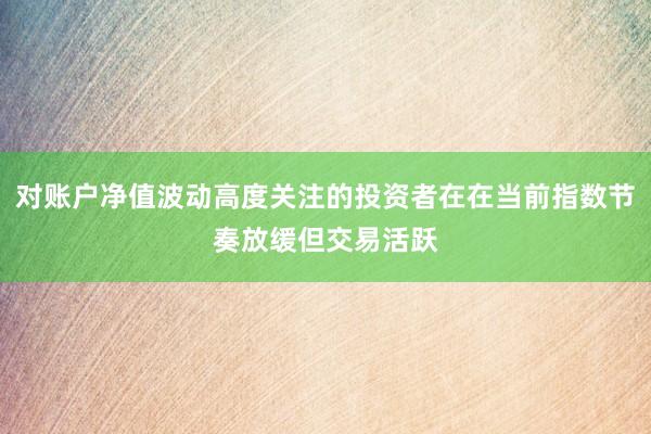 对账户净值波动高度关注的投资者在在当前指数节奏放缓但交易活跃