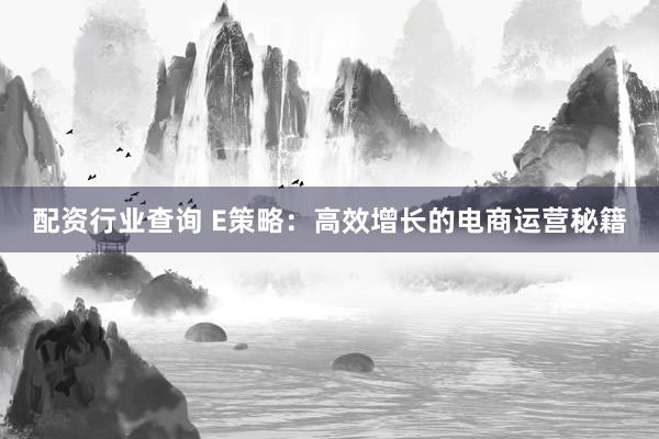 配资行业查询 E策略：高效增长的电商运营秘籍